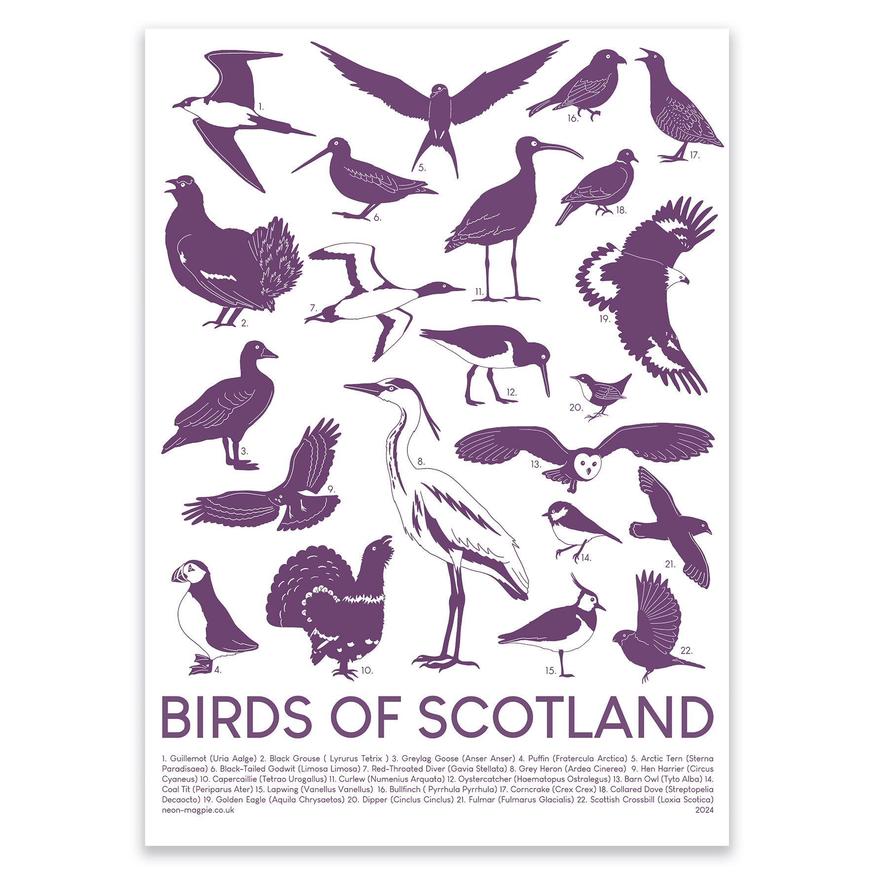 Scottish Birds Tea Towel