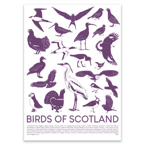 Scottish Birds Tea Towel