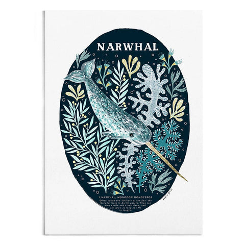 Narwhal Art Print 