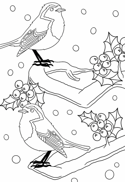 Christmas Colouring Book - Neon Magpie