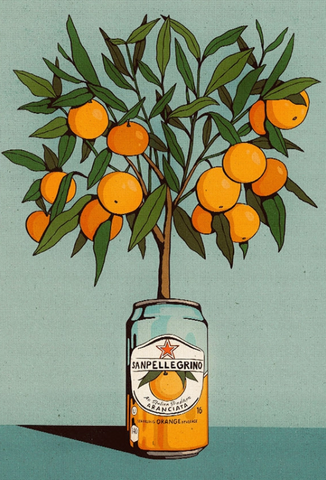 San Pellegrino & Orange Tree Art Print A4
