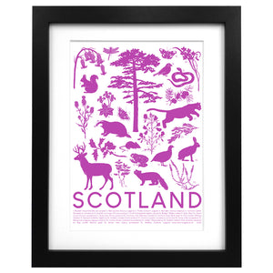 Scottish Wildlife Screen Print - Neon Magpie