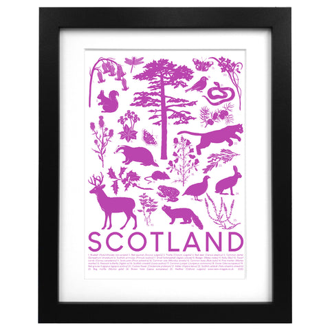 Scottish Wildlife Screen Print - Neon Magpie