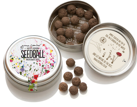 Artist's Meadow Seedball Tin